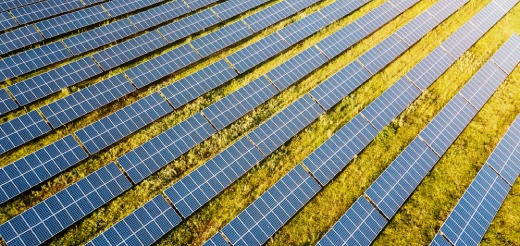 Rows of solar panels in a green field