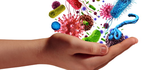 A hand and example of types of bacteria