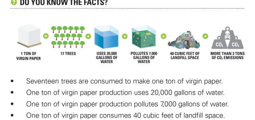 Facts showing how Excel Hand Dryers are better for the environment and more sustainable than paper towels.