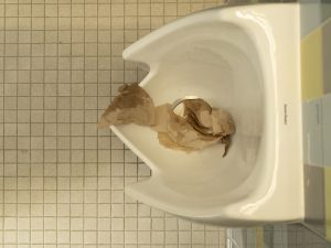 Paper towels clog public bathroom urinals, toilets and sinks.